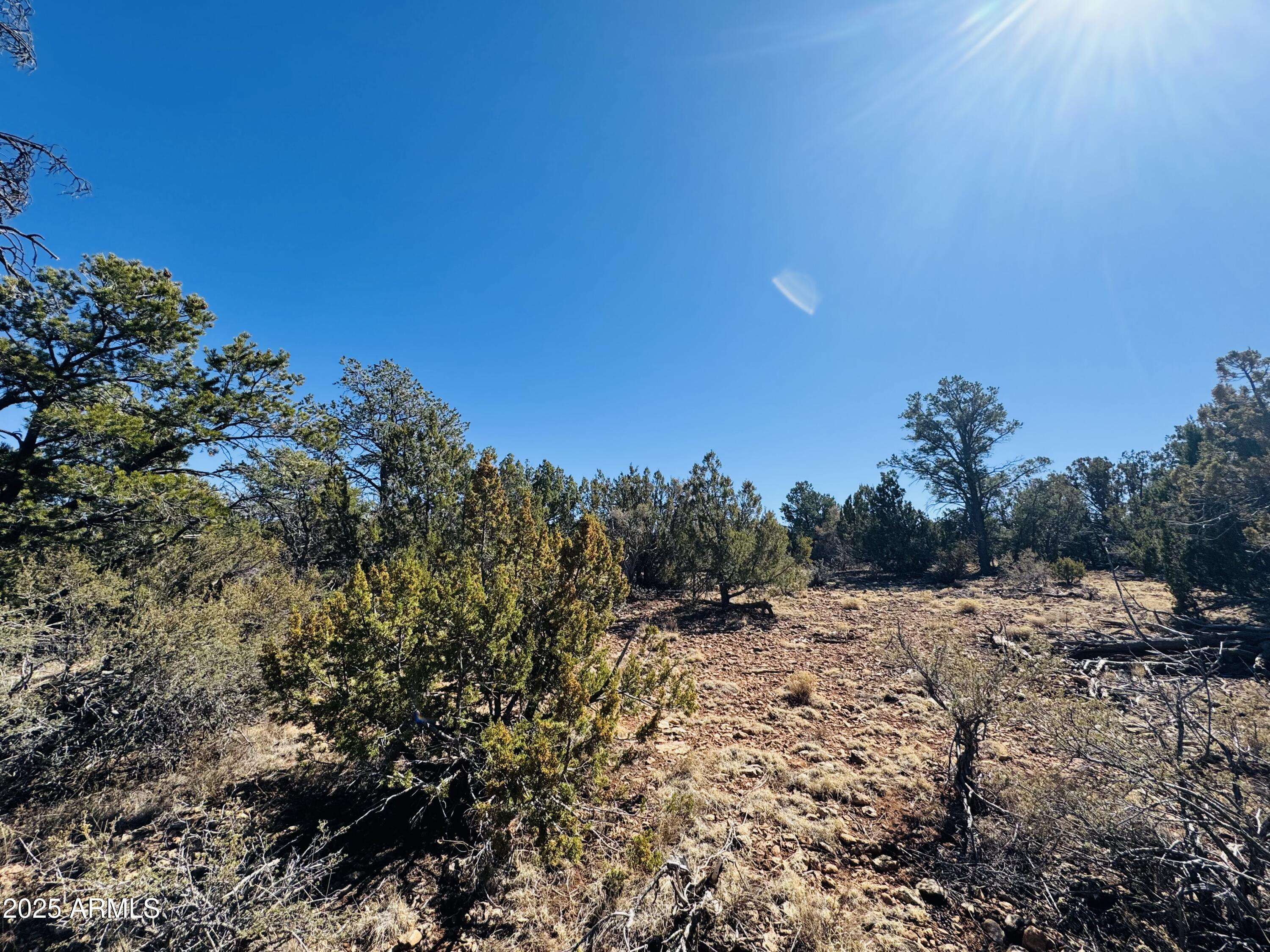 Happy Jack, AZ 86024,4108 SUNSET RIDGE Loop #135