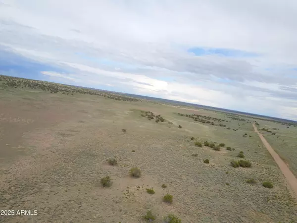 St Johns, AZ 85936,42 in Acres Carrizo Ranches -- E #36