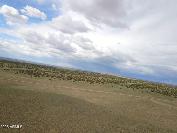 St Johns, AZ 85936,42 in Acres Carrizo Ranches -- E #36