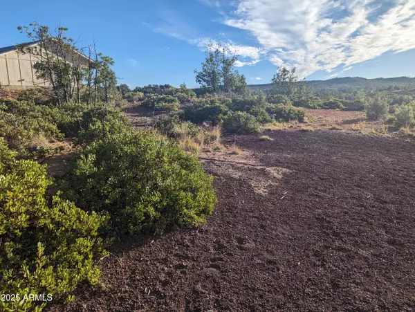 Show Low, AZ 85901,922 OLD SETTLER Trail #390