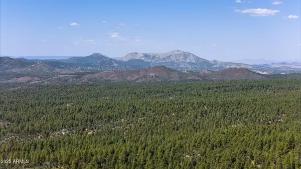 Prescott, AZ 86303,0 S Senator Highway #0