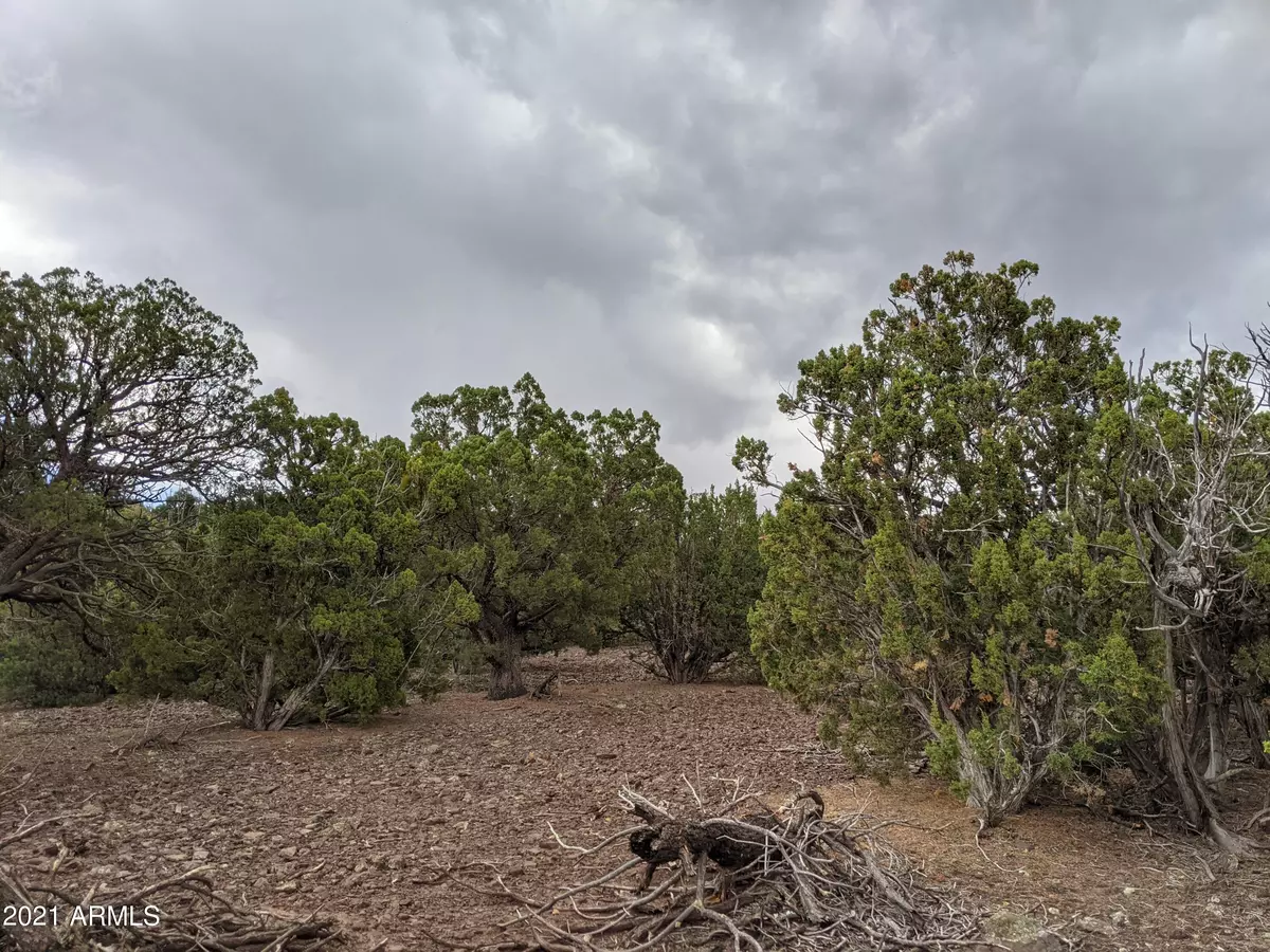 Vernon, AZ 85940,79 Ranch Road #79