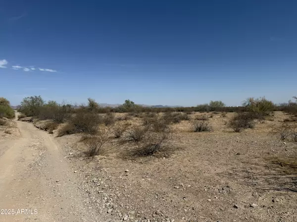 Tonopah, AZ 85354,0 W SALOME Road #-