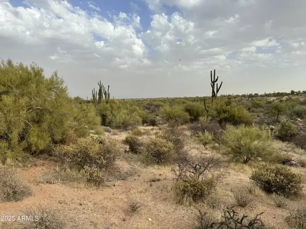 Scottsdale, AZ 85262,139 E Montello Road #-