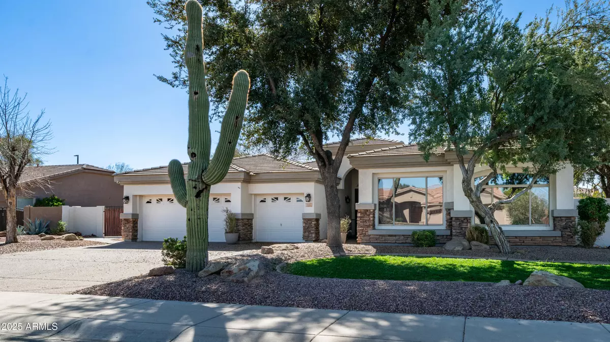 Gilbert, AZ 85295,737 E BOSTON Street
