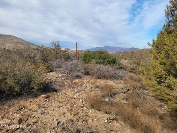 Miami, AZ 85539,20413019 W Lot Mackey Camp Area Road #-