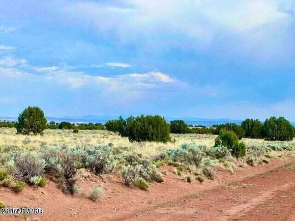 Concho, AZ 85924,Meadows Ranch Unit 3 Lot 213 -- #-