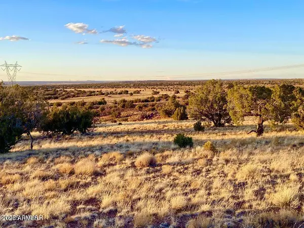 Concho, AZ 85924,1295 Co Rd 5270 9.6 Acres -- #-
