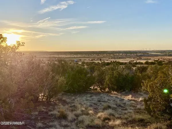 Concho, AZ 85924,1295 Co Rd 5270 9.6 Acres -- #-