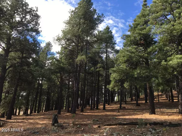 9245 Coyote Pass -- #-, Flagstaff, AZ 86001