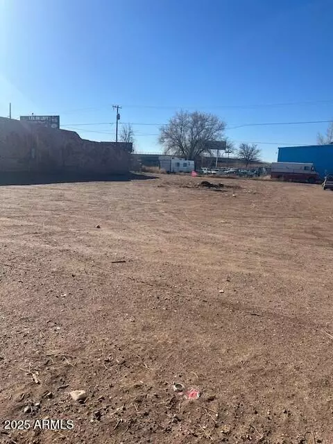 Bucket of Blood Avenue #8, Holbrook, AZ 86025