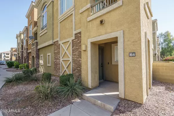 Phoenix, AZ 85032,18250 N CAVE CREEK Road #164