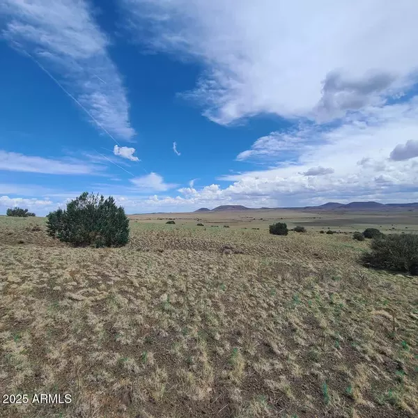 Vernon, AZ 85940,3 COUNTY ROAD N3365 --