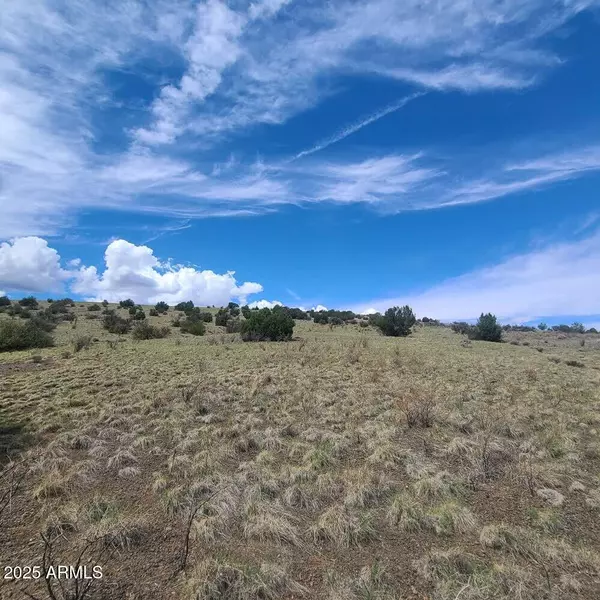 Vernon, AZ 85940,3 COUNTY ROAD N3365 --
