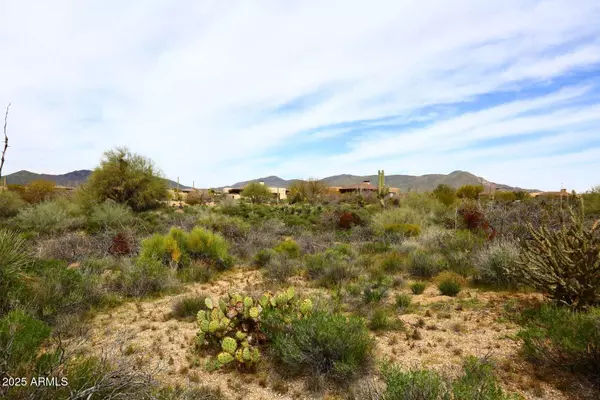 Scottsdale, AZ 85262,38725 N 102ND Street #336
