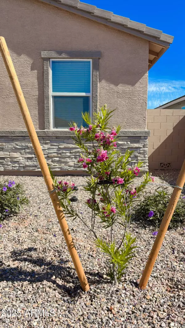 San Tan Valley, AZ 85143,3346 E AUDREY Drive