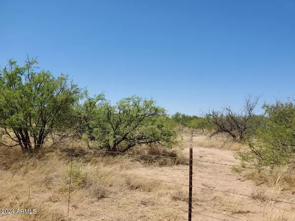 Hereford, AZ 85615,4 E Lane Ranch Road #-