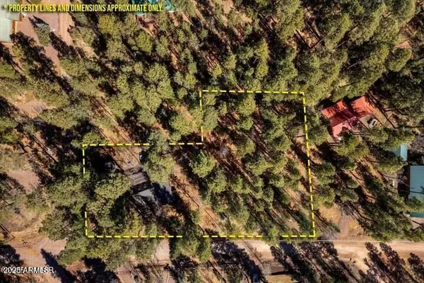 Alpine, AZ 85920,34 COUNTY ROAD 2066 --