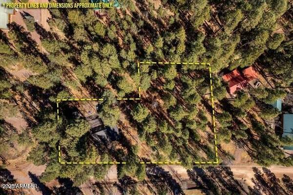 Alpine, AZ 85920,34 COUNTY ROAD 2066 --