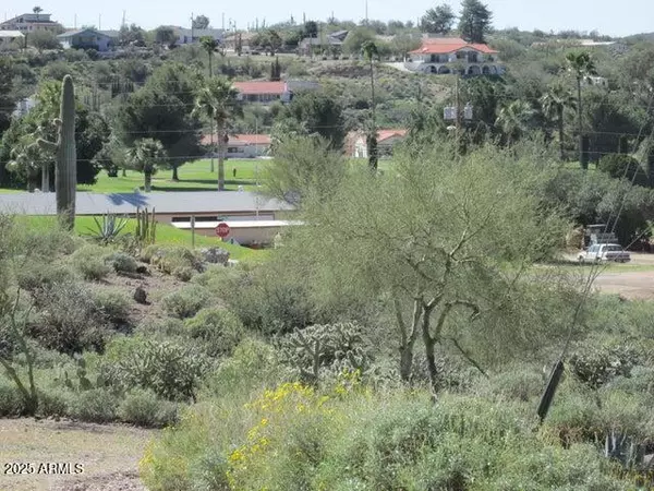 Queen Valley, AZ 85118,0 N Sherwood Way #006D