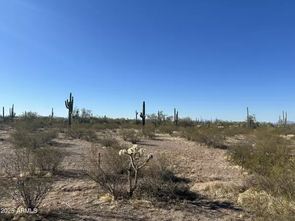 Marana, AZ 85658,S Cattle Tank Road #-