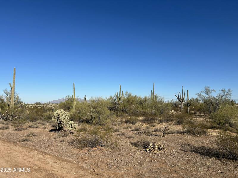 S Cattle Tank Road #-, Marana, AZ 85658