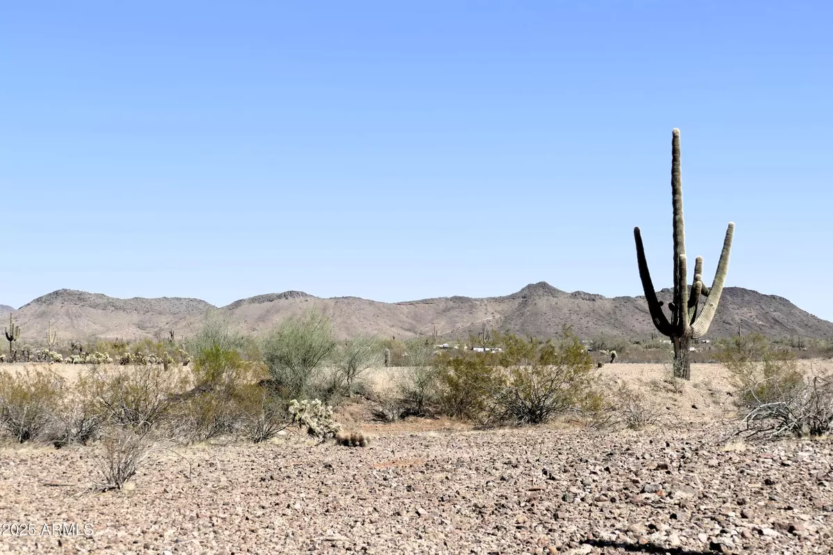 Wittmann, AZ 85361,331 W Cloud Road #32
