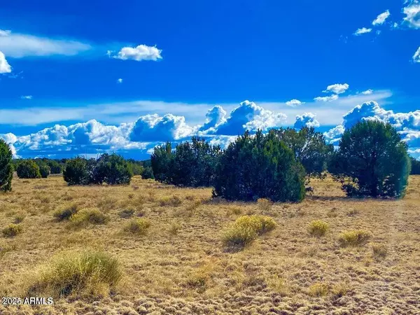 Seligman, AZ 86337,Hyde Park Rd 10 Acres -- #-