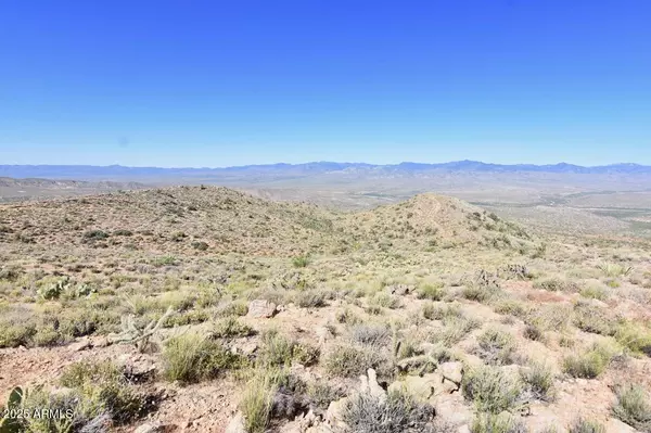 Wikieup, AZ 85360,80 Bogles Ranch Road #-