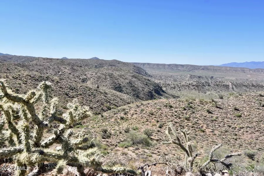 80 Bogles Ranch Road #-, Wikieup, AZ 85360