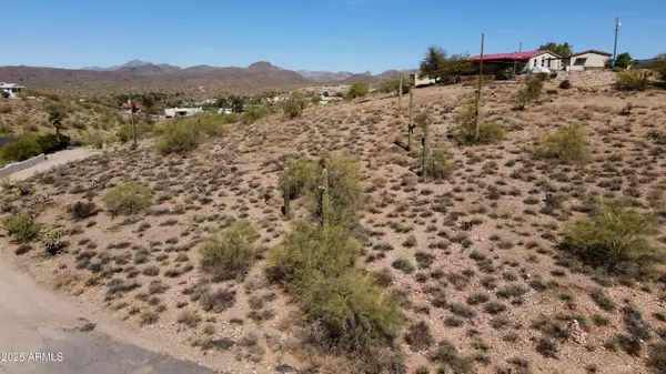 Queen Valley, AZ 85118,36 N CAVENDISH Street #107