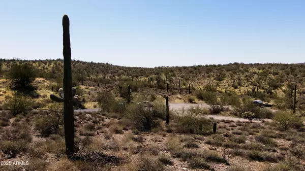 Queen Valley, AZ 85118,36 N CAVENDISH Street #107