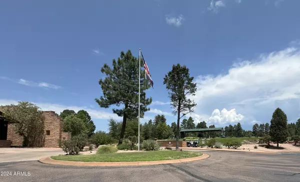 Payson, AZ 85541,2405 E GOLDEN ASTER Circle #264
