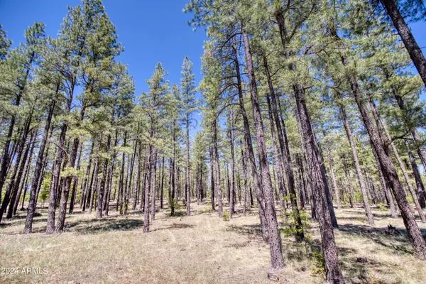 Pinetop, AZ 85935,9586 SIERRA SPRINGS Way #7