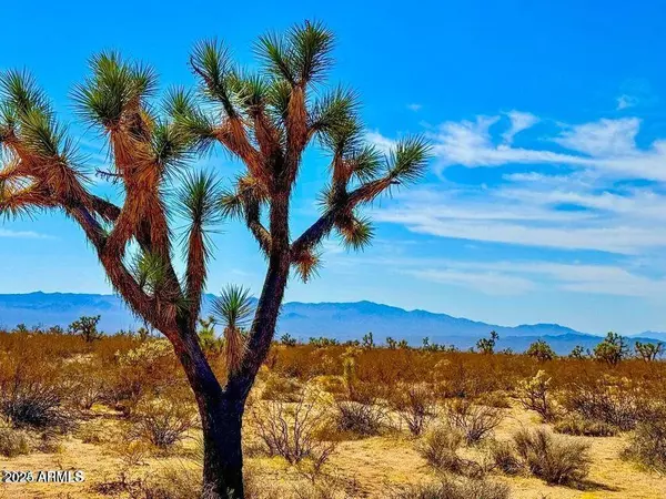 CALVA RD. 2.35 ACRES -- #-, Yucca, AZ 86438