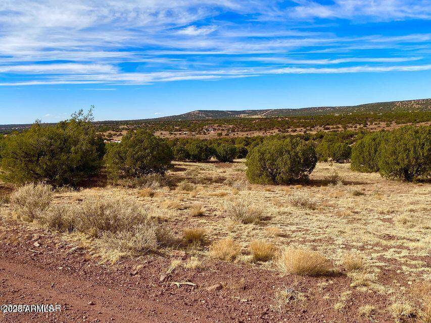 Concho, AZ 85924,Co Rd 8269 Lot 150 -- #-