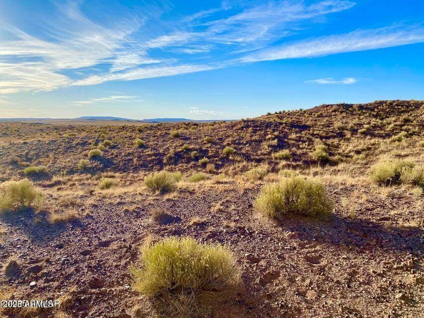 Concho, AZ 85924,Ranch Lot 297 41.17 Acres -- #-