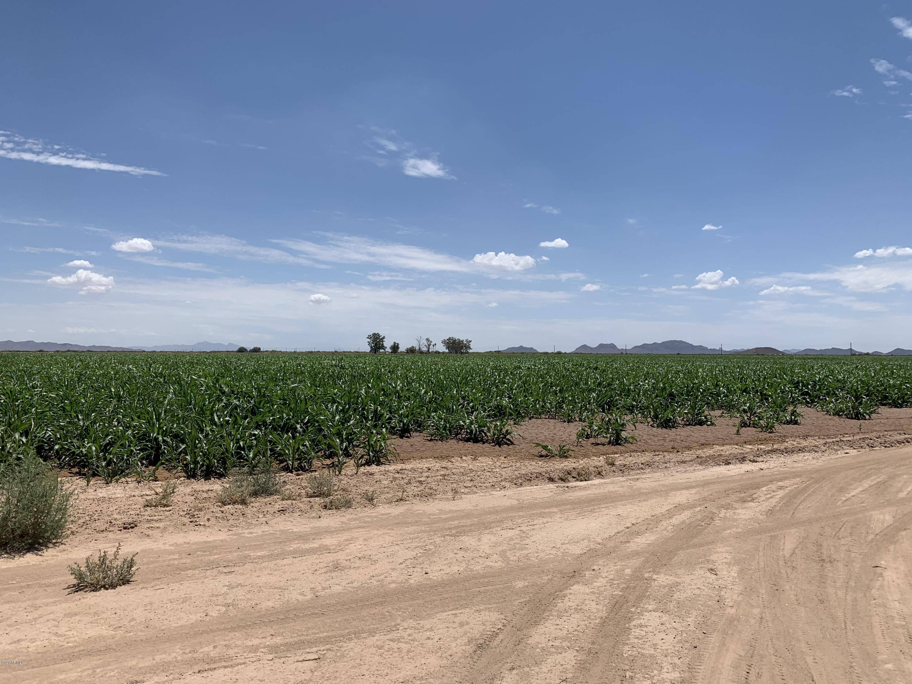 Casa Grande, AZ 85193,0 W Arica 3 Road #-