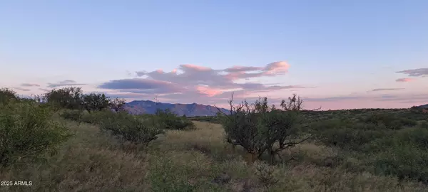 Dragoon, AZ 85609,Adams Ranch Road #03