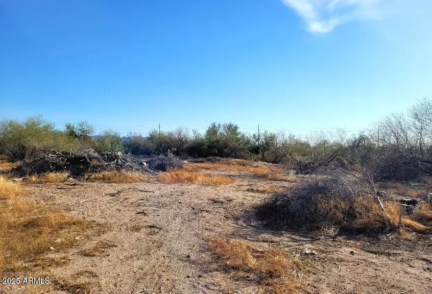 0 W Griffin Lot 1 Avenue #1, Wittmann, AZ 85361