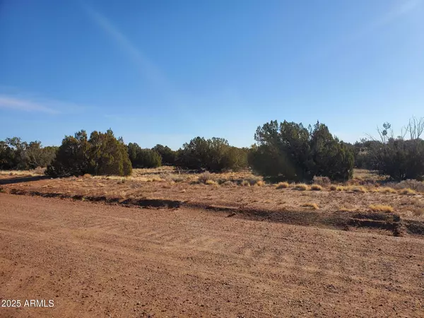 Snowflake, AZ 85937,3933 HIDDEN RANCH Road #56