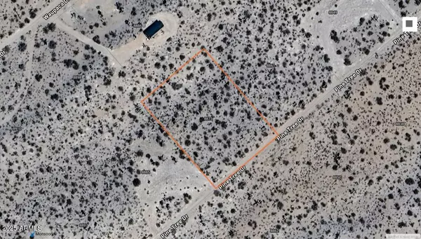 Willow Beach, AZ 86445,8873 W PINE TREE Drive #263