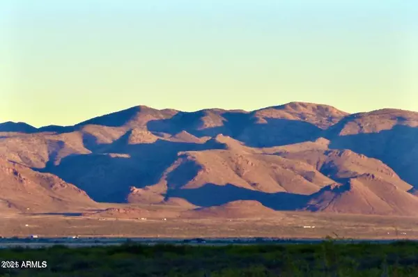 Portal, AZ 85632,E Many Wells Rd 41 Acres -- #-