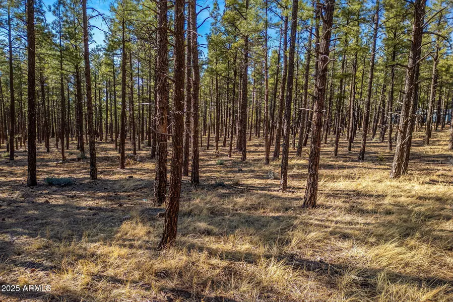 Wilderness Drive #036J, Pinetop-lakeside, AZ 85929