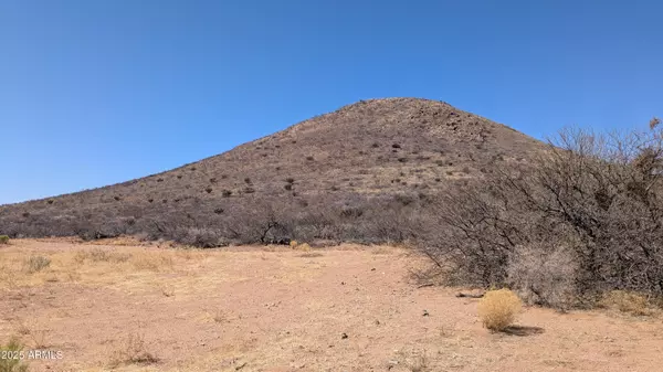 Elfrida, AZ 85610,W Gleeson Road #-