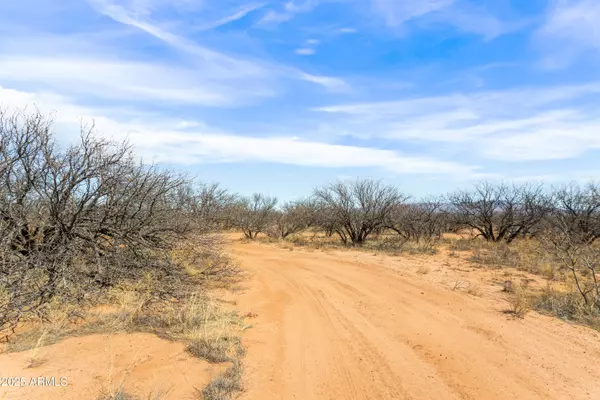 Hereford, AZ 85615,8 Acres off Mellak lot 97M Road #A