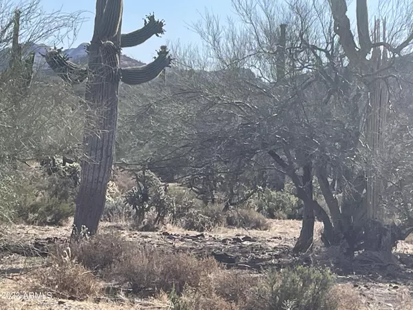 Queen Valley, AZ 85118,0 N Elephant Butte Road #015F aka Lot 1