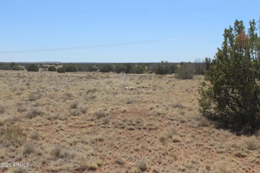 5999 Mesa View Lot 149 Drive #149, Heber, AZ 85928