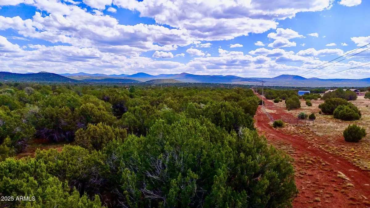 Vernon, AZ 85940,180 Co Rd 3148 Lot #1 2.1 Acres -- #-