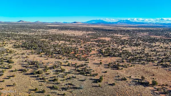 5891 N Cattle Guard Rd 10.5 Acres -- #-, Williams, AZ 86046